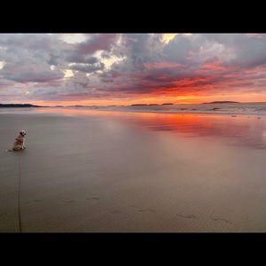 Meet your Posher, Martha